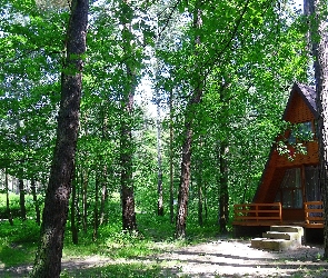 Ośrodek, Drzewa, Domek, Drewniany, Park