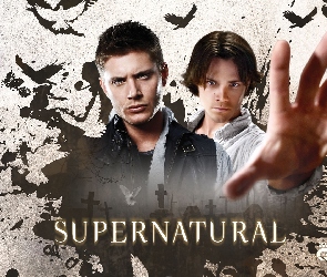 Jared Padalecki, Jensen Ackles, Supernatural, Nie z tego świata