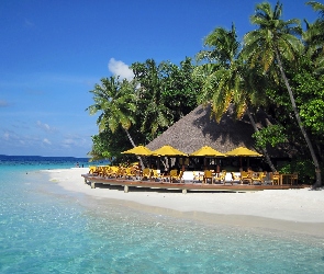 Morze, Malediwy, Palmy, Restauracja, Plaża