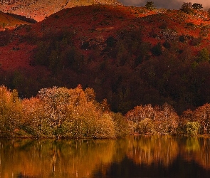 Jezioro, Las, Góry