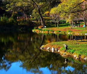 Park, Rzeka