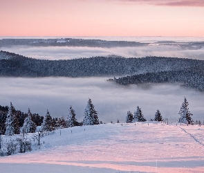 Śnieg, Wzgórza, Mgła, Drzewa, Zima