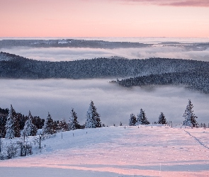 Zima, Wzgórza, Drzewa, Mgła, Śnieg