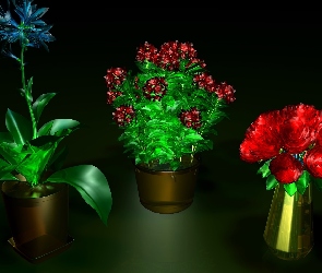 Kwiaty, Grafika 3D, Kolorowe