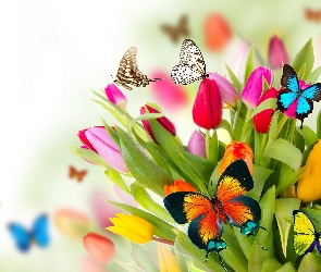 Kwiaty, 2D, Tulipany, Motyle, Wiosna