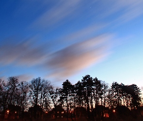 Park, Niebo, Wieczór, Drzewa