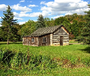 Las, Łąka, Dom, Drewniany