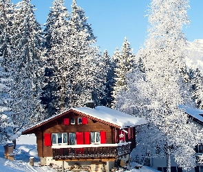 Dom, Góry, Śnieg, Zima, Las, Drzewa