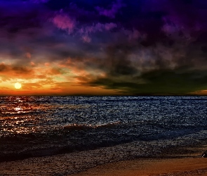 Morze, Mewa Zachód słońca, Chmury