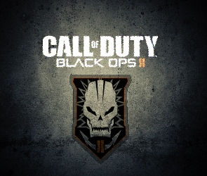 Black Ops 2, Call of Duty