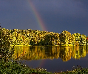 Jezioro, Tęcza, Las