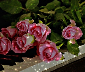 Różowe, Cień, Fortepian, Klawisze, Róże
