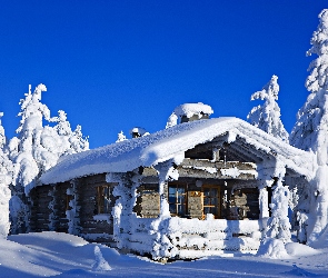 Ośnieżone, Dom, Ośnieżony, Drzewa, Zima