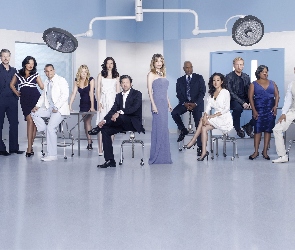 Grey s Anatomy, Obsada, Chirurdzy