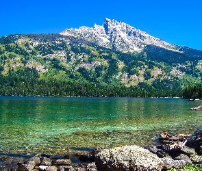 Stany Zjednoczone, Stan Wyoming, Kamienie, Góry Teewinot Mountain, Jezioro Jenny Lake, Park Narodowy Grand Teton