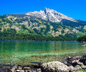 Kamienie, Jezioro Jenny Lake, Stan Wyoming, Stany Zjednoczone, Park Narodowy Grand Teton, Góry Teewinot Mountain
