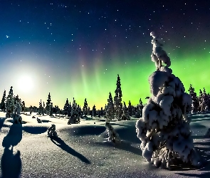 Zima, Gwiazdy, Zorza Polarna, Drzewa, Śnieg