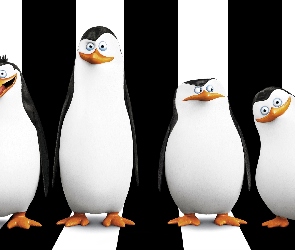 The Penguins of Madagascar, Postacie, Pingwiny z Madagaskaru
