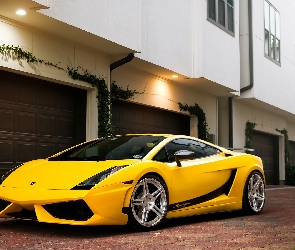Żółte, Gallardo, Lamborghini