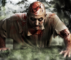 krew, Las, Zombi