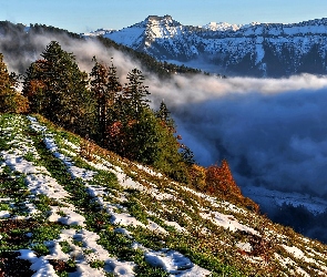 Mgła, Las, Góry