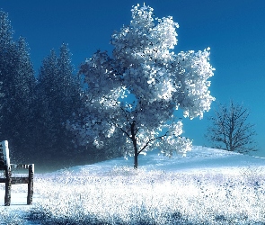 Zima, Art, Ławka, Drzewa
