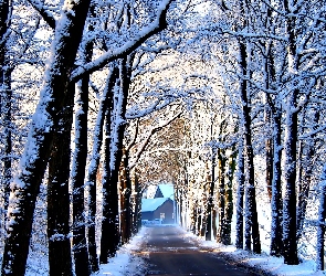 Śnieg, Dom, Drzewa, Droga, Zima