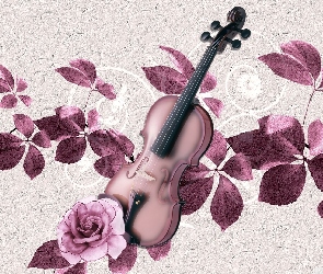 Liście, Róża, Instrumenty, Skrzypce