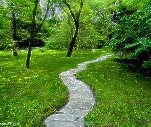 Park, Fractalius, Ścieżka