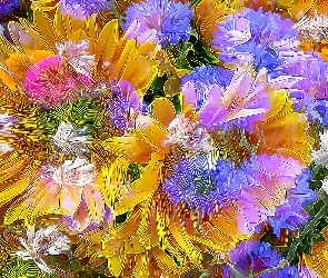 Abstrakcja, Kwiaty, Kolorowe