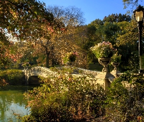 Jesień, Drzewa, Park, Most