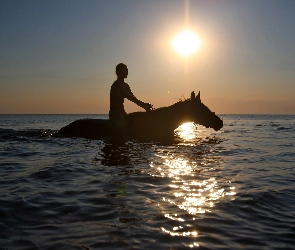Morze, Dziewczyna, Koń, Słońce
