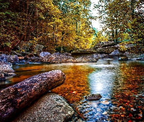Jesień, Kamienie, Rzeka, Las
