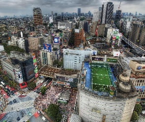 Tokio, Japonia, Boisko, Azja