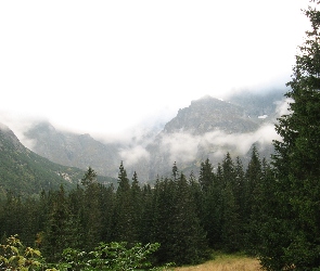 Mgła, Góry, Polska, Zakopane