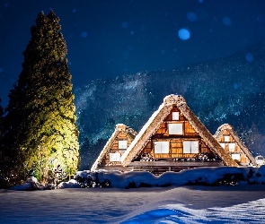 Domy, Drzewa, Śnieg