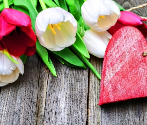 Tulipany, Serce, Walentynki
