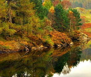 Jesień, Jezioro, Góry, Las