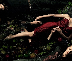 The Vampire Diaries, Woda, Pamiętniki wampirów