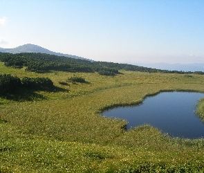 Tatry, Łąka