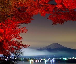 Wulkan Fudżi, Drzewo, Natura, Oświetlone Miasto, Japonia
