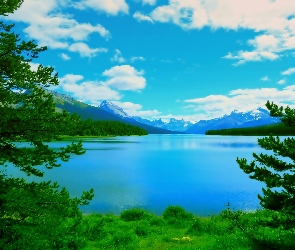 Jezioro, Drzewa, Góry