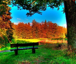Ławka, Jesień, Park