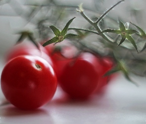 Pomidory, Gałązka, Koktajlowe