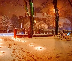 Zima, Drzewa, Dom