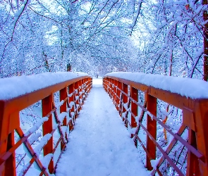Park, Zima, Mostek