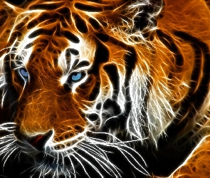 Tygrys, Fractalius