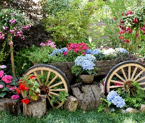 Kwiaty, Wózek, Ogród