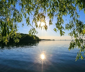 Las, Słońce, Jezioro