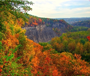 Jesień, Lasy, Góry